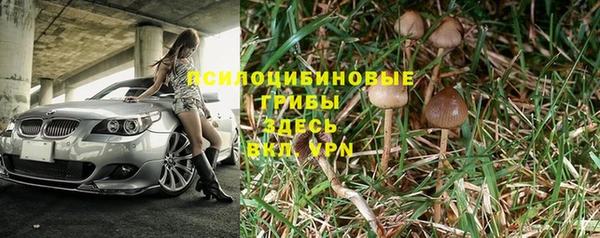 амф Вязьма