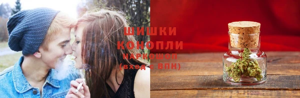 амф Вязьма