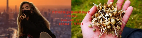 амф Вязьма