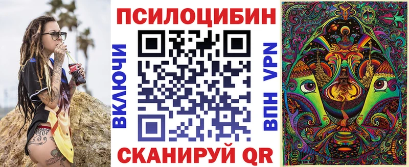 Псилоцибиновые грибы Psilocybe  Прокопьевск 